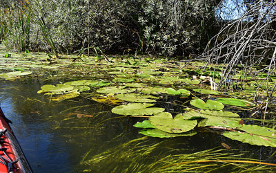 Vilviestre de los Nabos - Soria