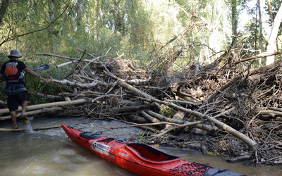 Las Quintanas de Gormaz - San Esteban de Gormaz  