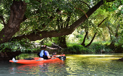 Peñafiel - Quintanilla de Onésimo (de abajo)