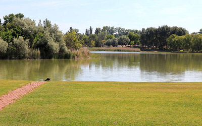 Sardón de Duero - Laguna de Duero